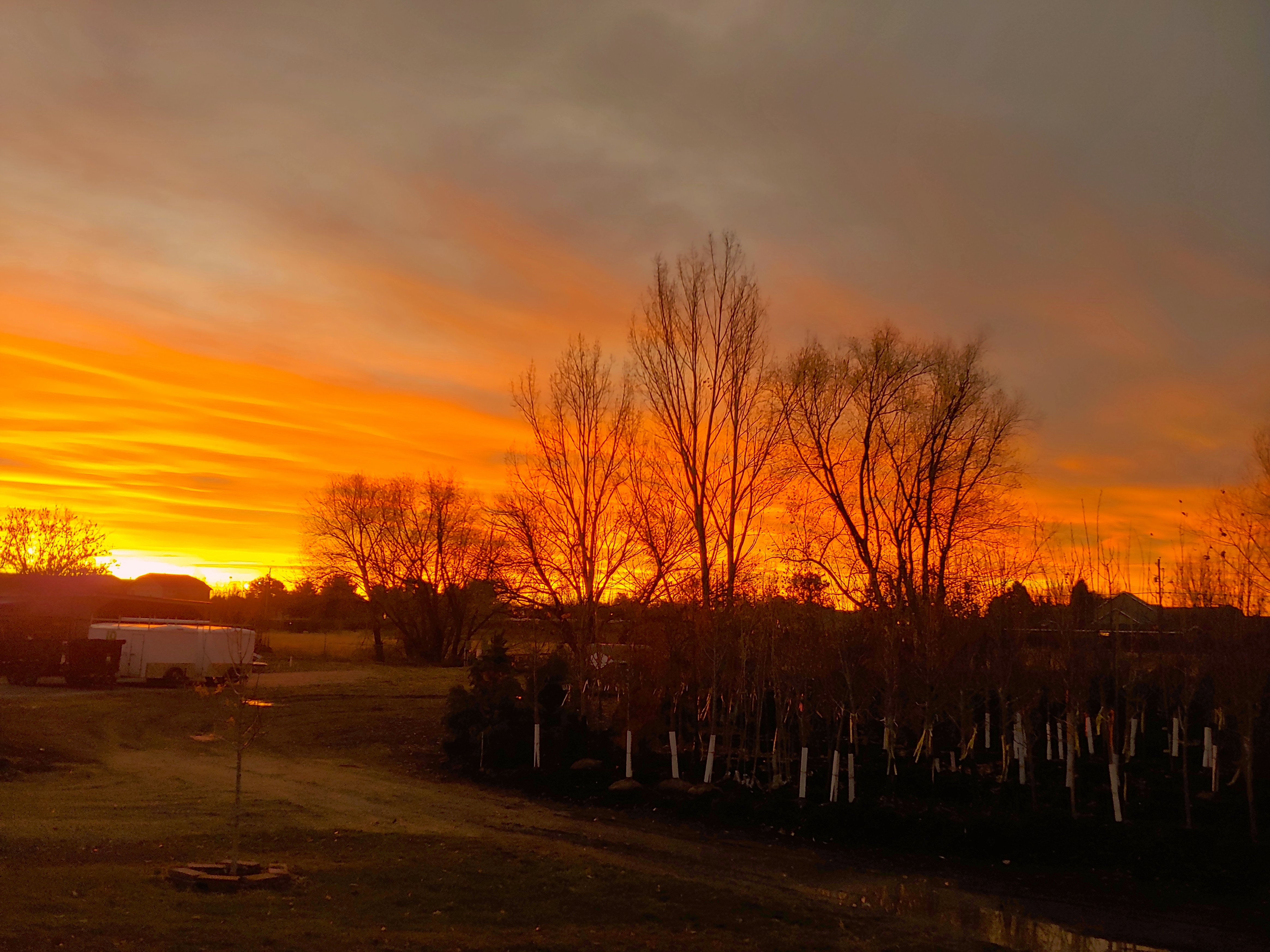 1117200725a_HDR.jpg