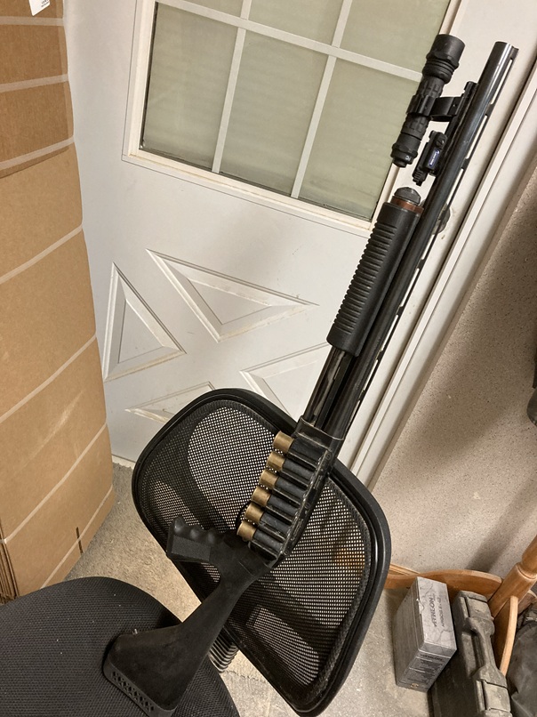 shottie.jpg
