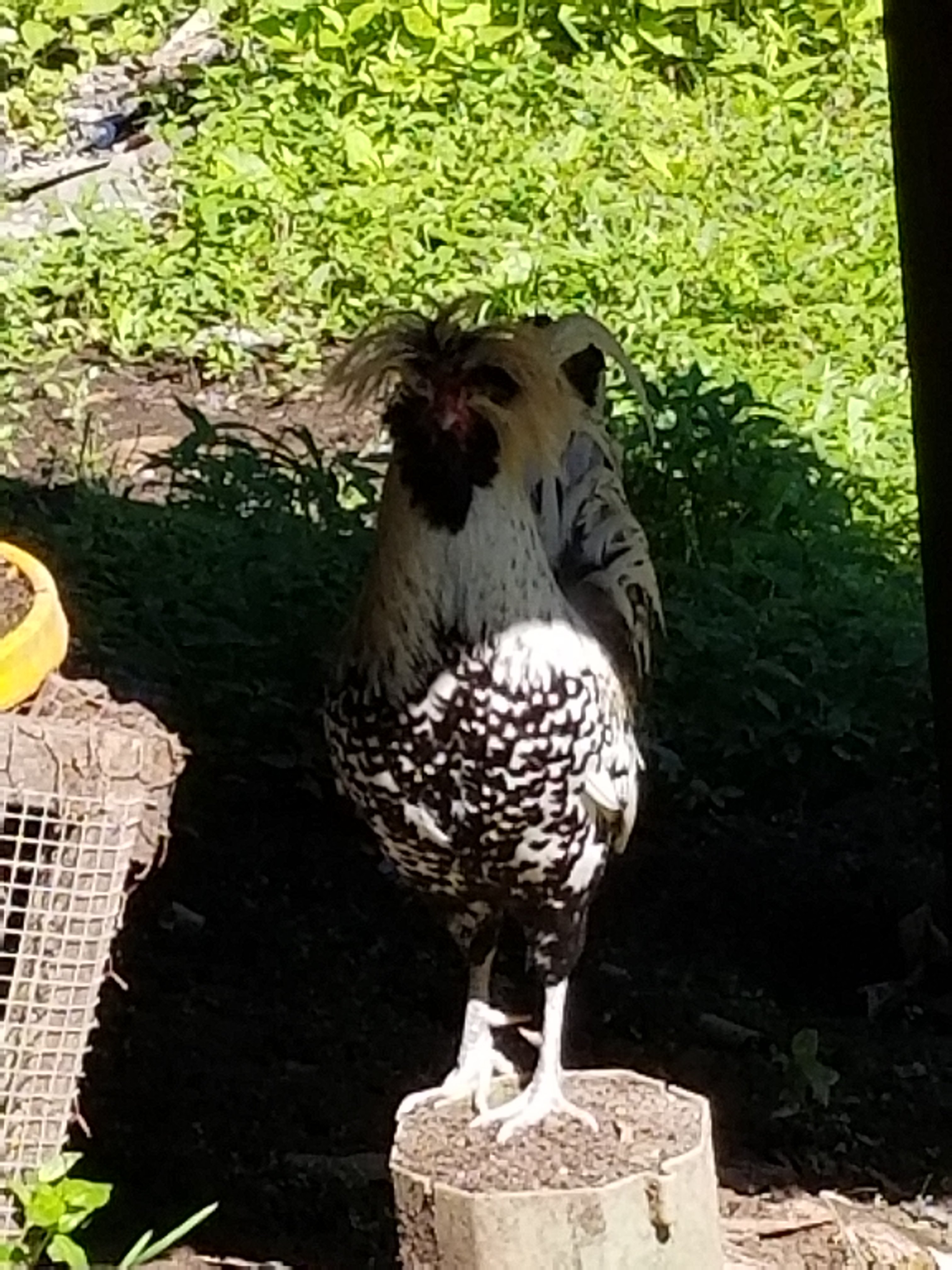 20170621_101143.jpg