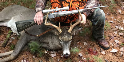 Deer-Web-size_edited-1.jpg
