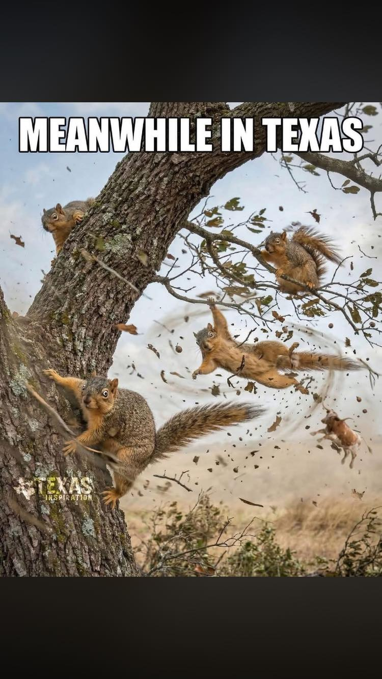 1773691368482.png