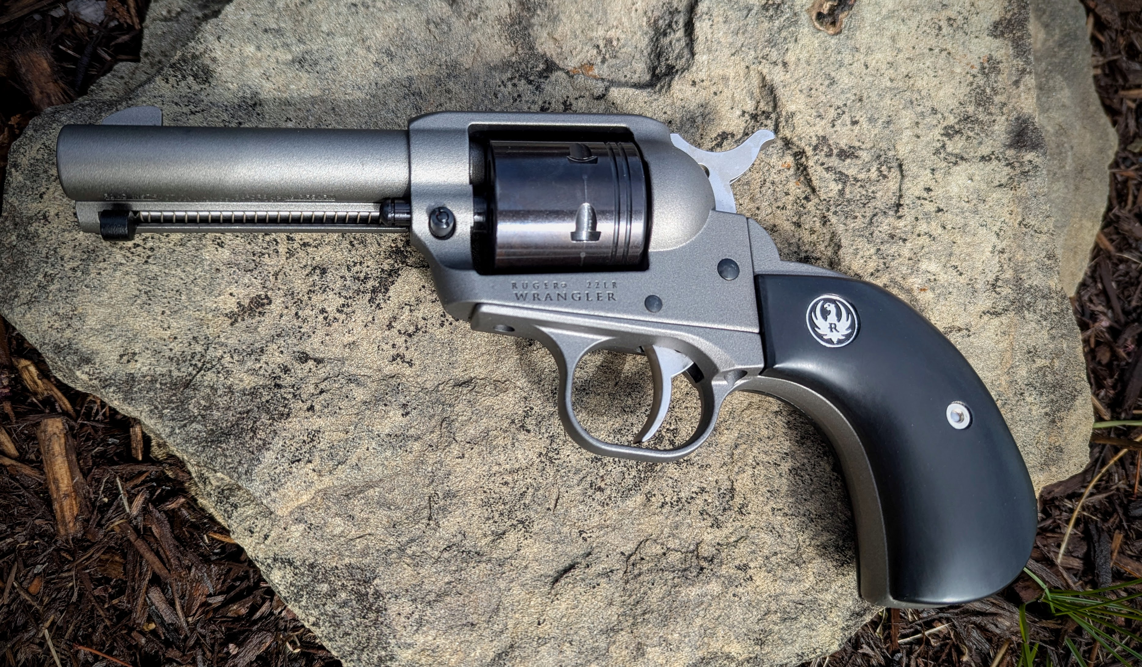 Ruger Wrangler 1.jpg