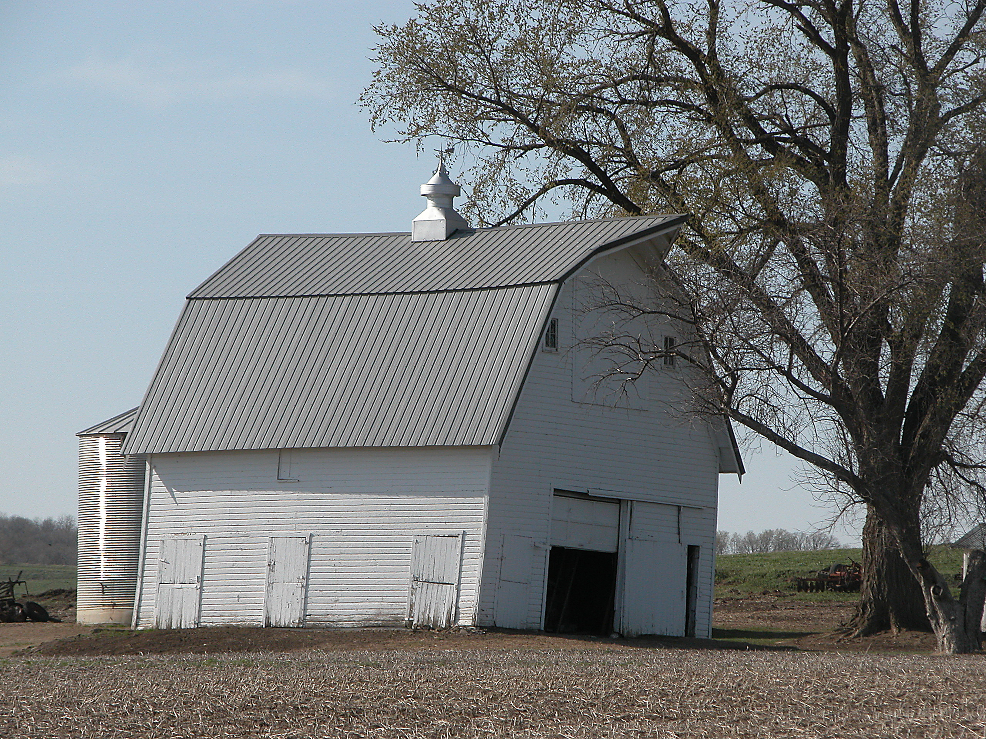 DSCN8469.jpg