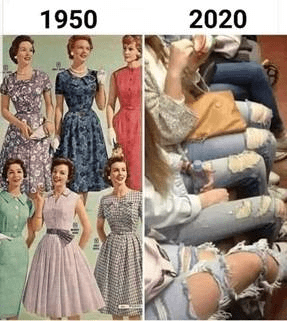 1668036726385.png