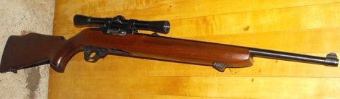 1022carbine1966004.jpeg