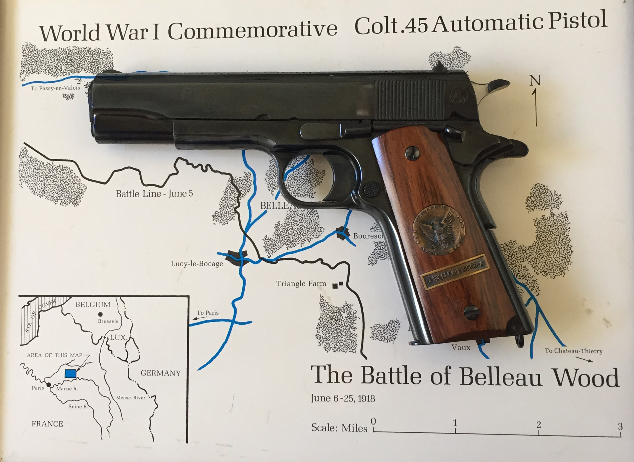 BELLEAU WOOD COLT-2-1.jpg