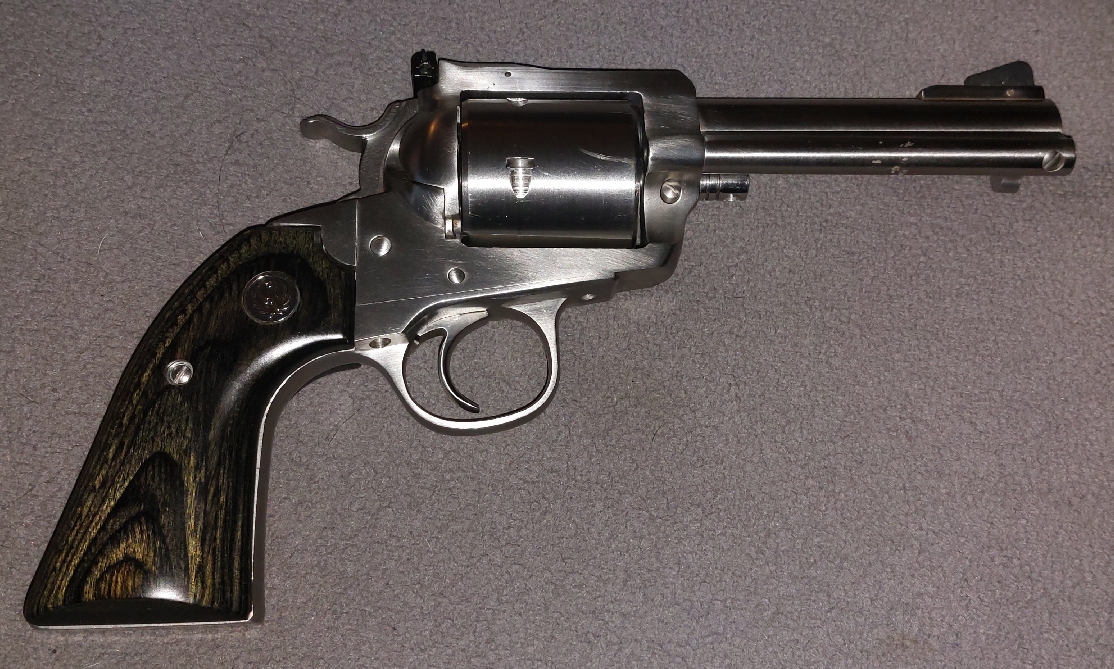 ruger_super_blackhawk_480_nsn.jpg