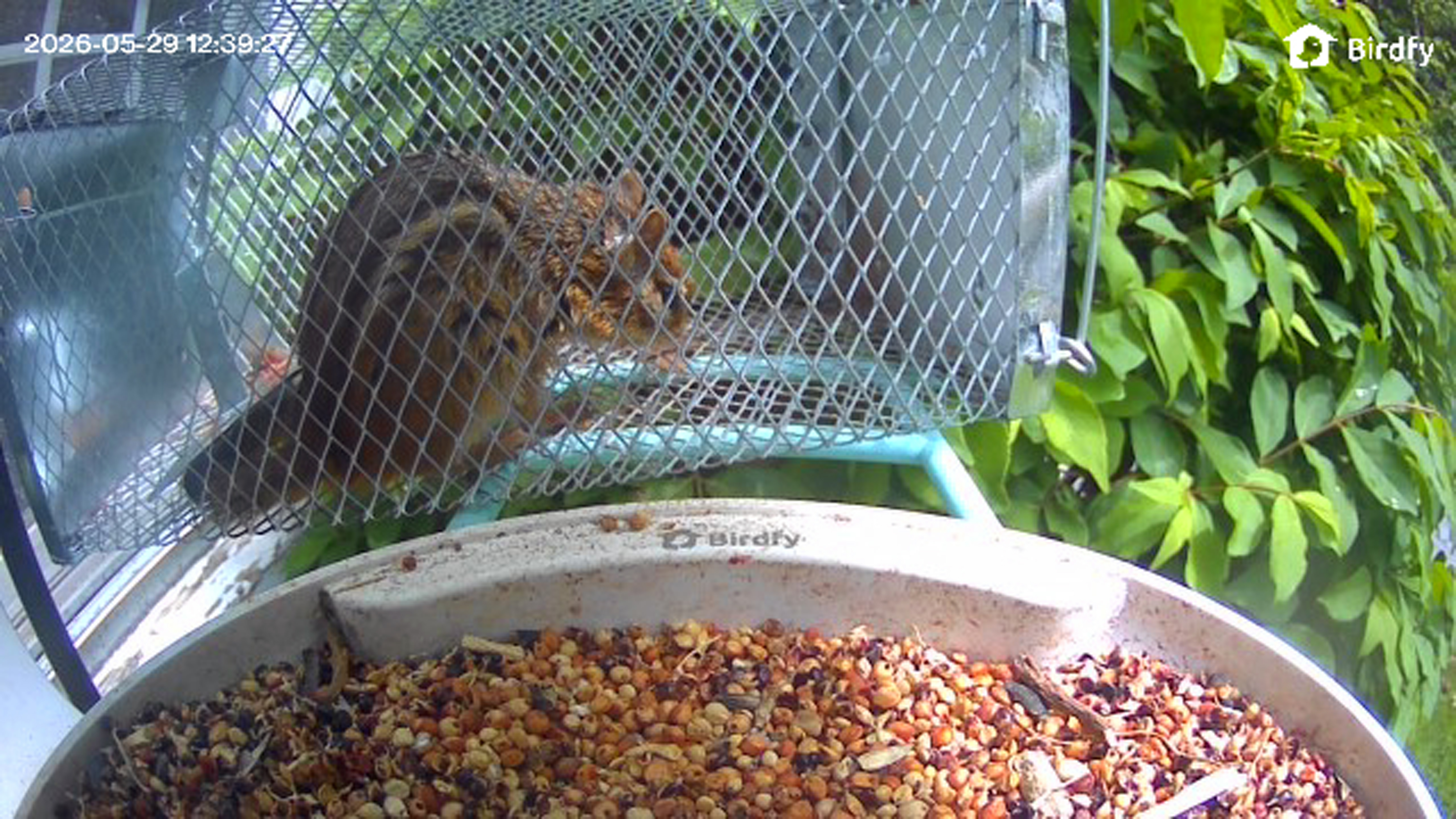 nvc_1780072767928_1780072767711_640_360_0.jpeg