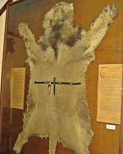 Harry-Wolhuter-lion-skin-and-knife.jpg