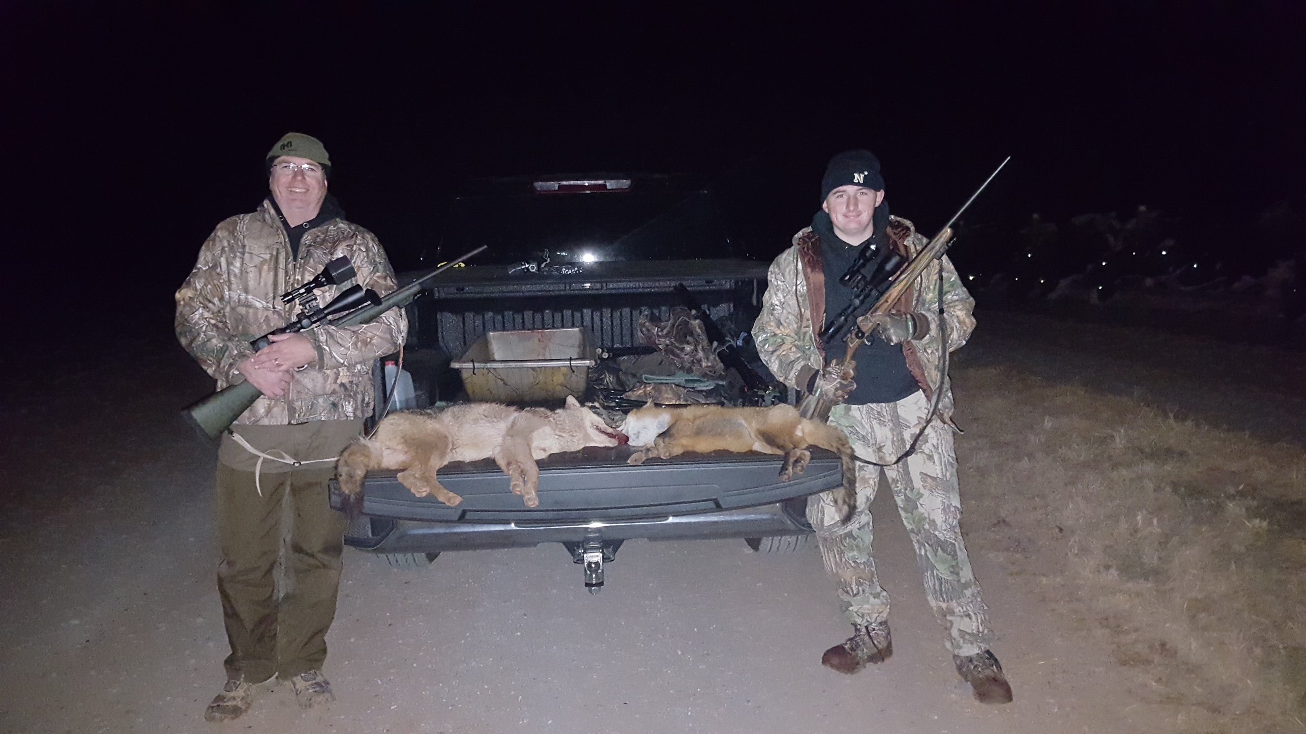 Yote Fox 19.jpg