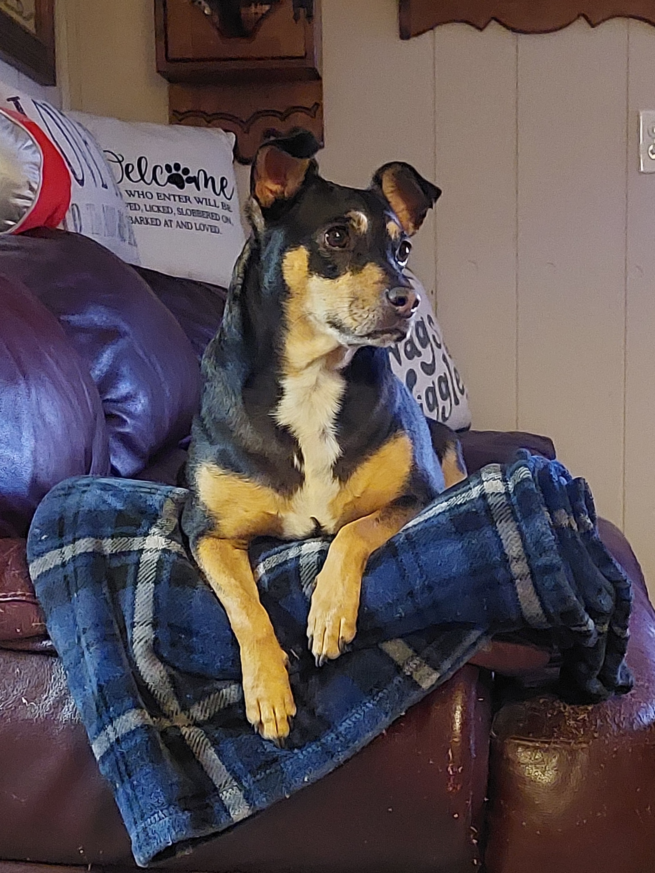 20250928_202103.jpeg