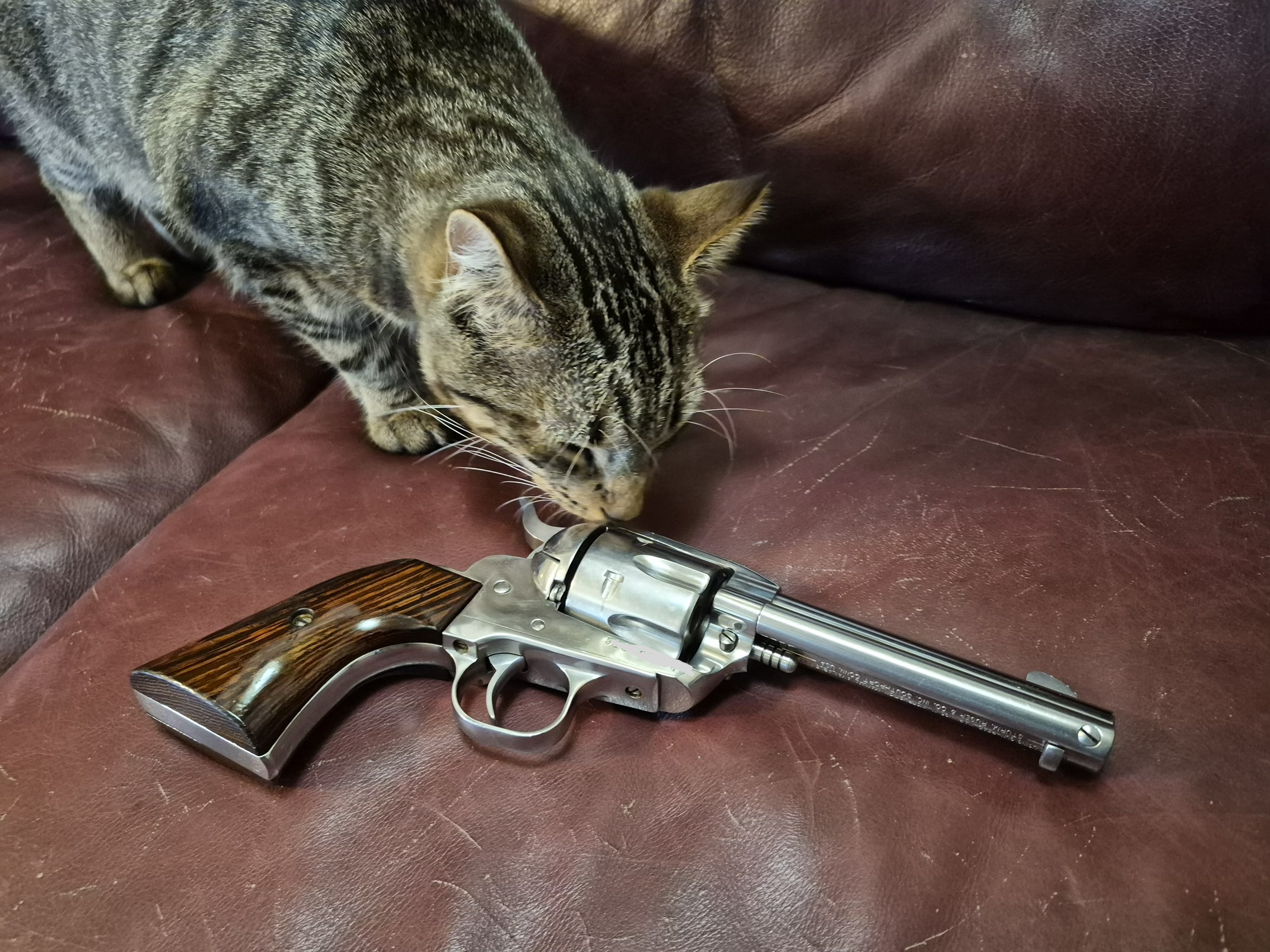 20260418_120825.jpeg