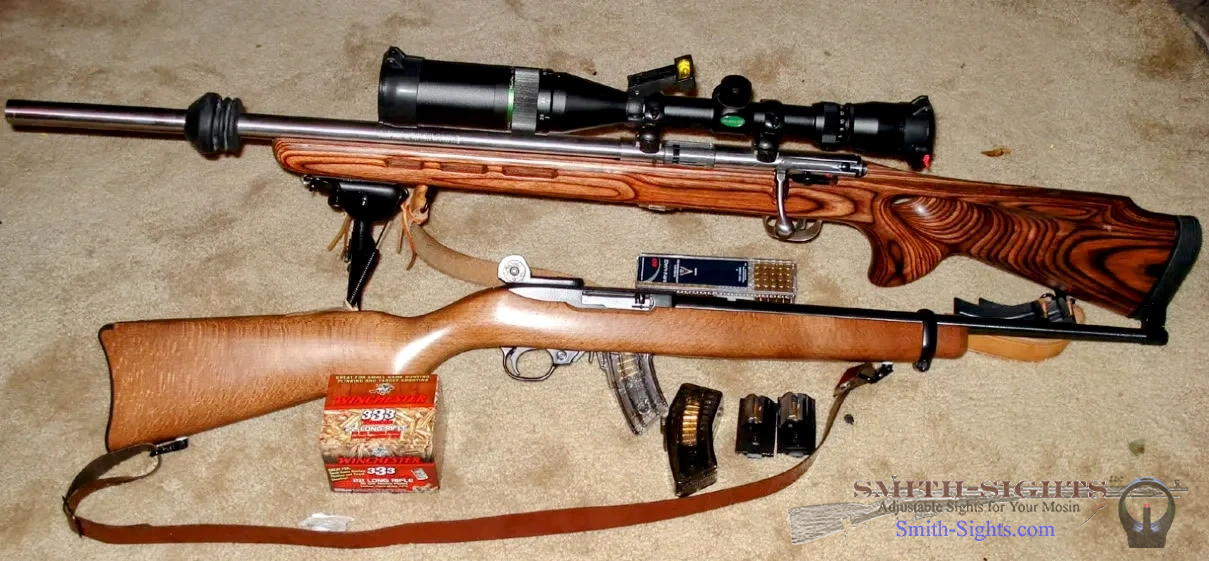 Savage MkII and Ruger 1022 Appleseed.jpg