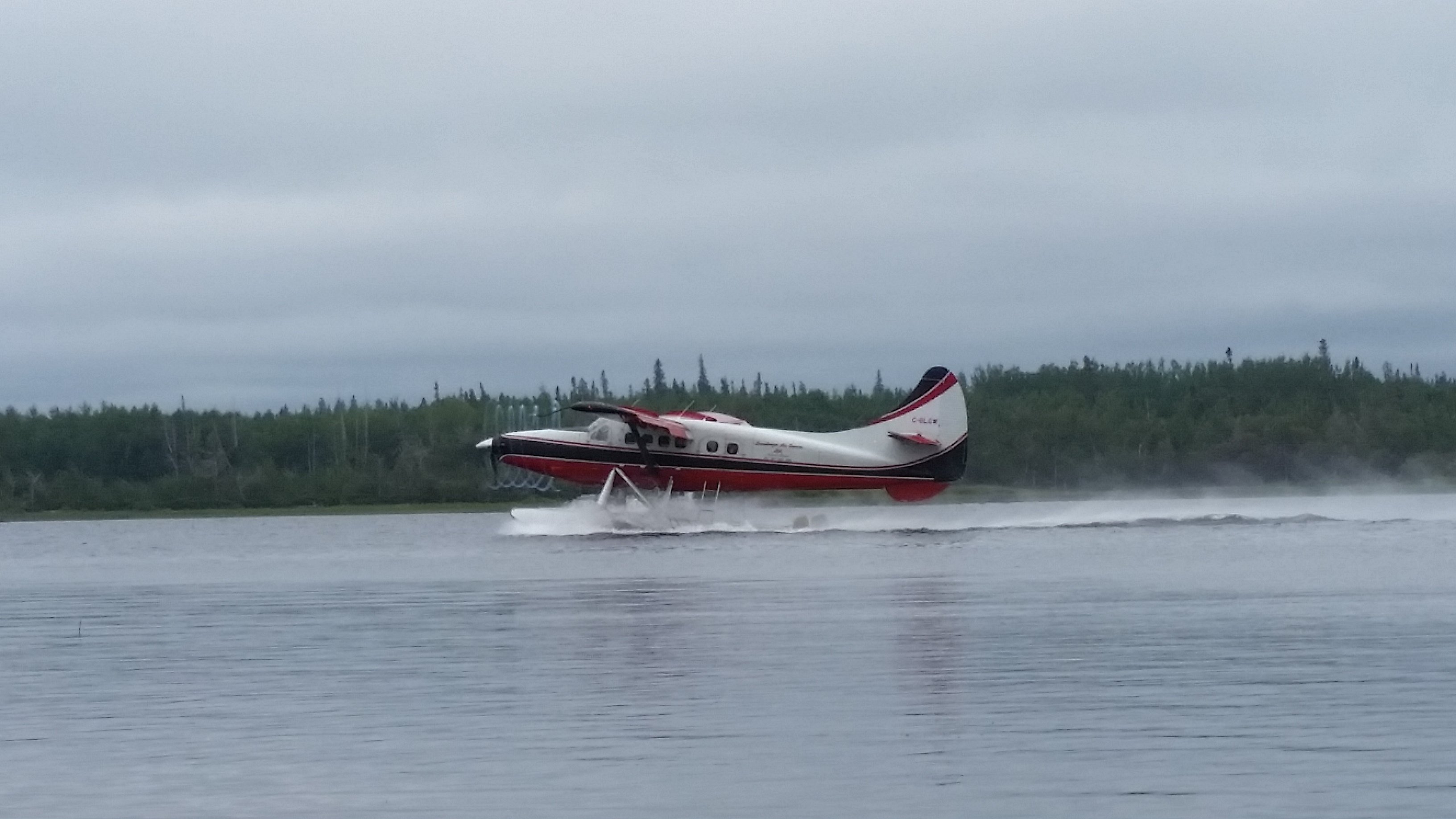 20180825_131712.jpg