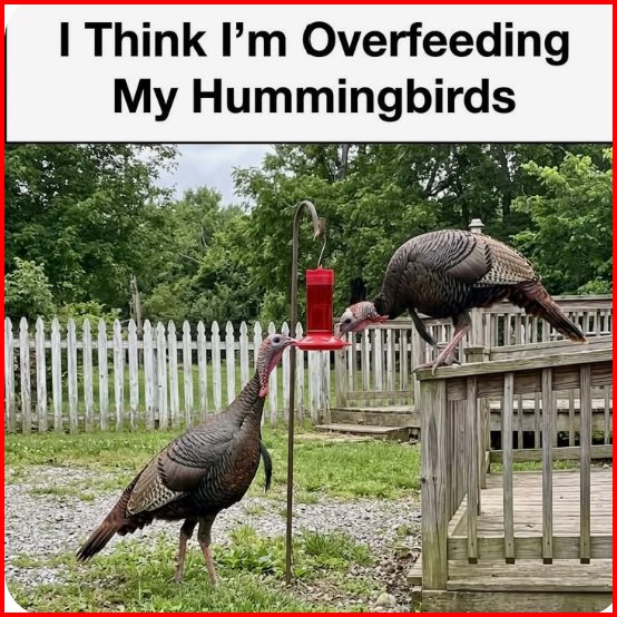 HNhTWrYbsAEG3Tf.jpg