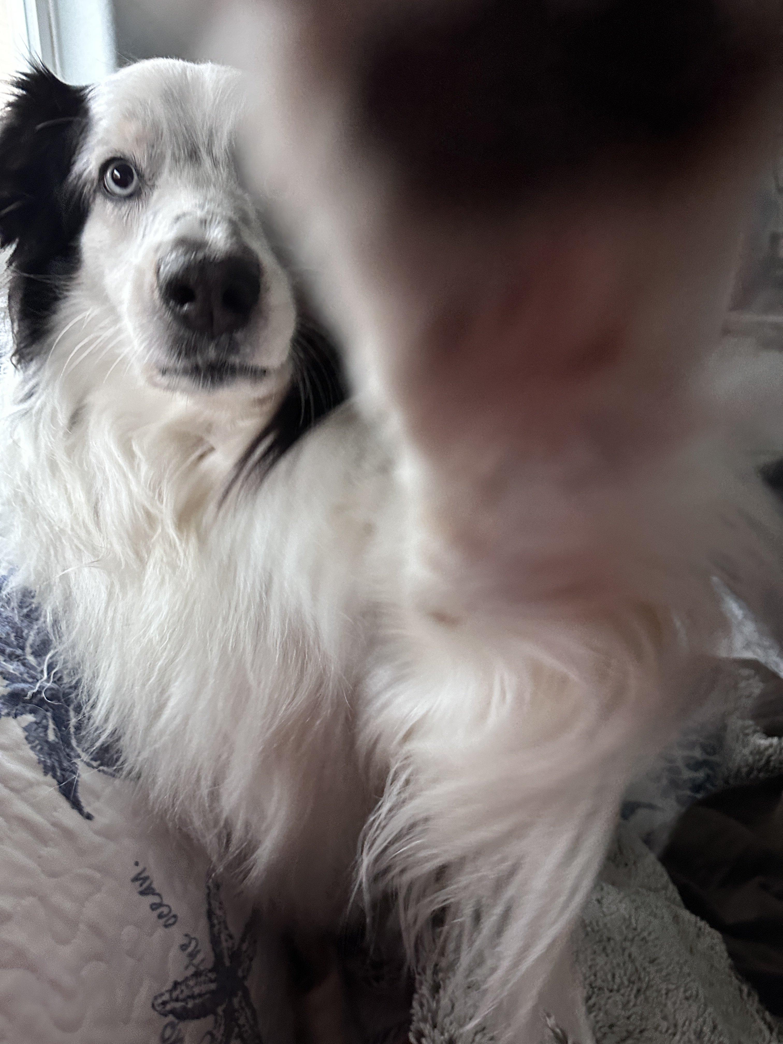 F8489BD0-62B6-4B4D-A681-75D0D9F7991B.jpeg