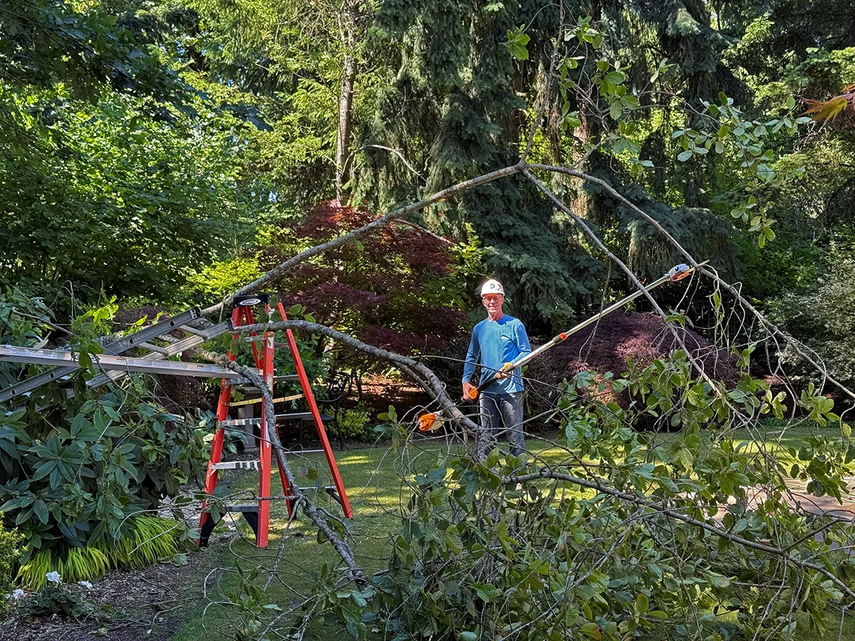 Pole Trimmer_Stihl_HTA_135_1200p.webp