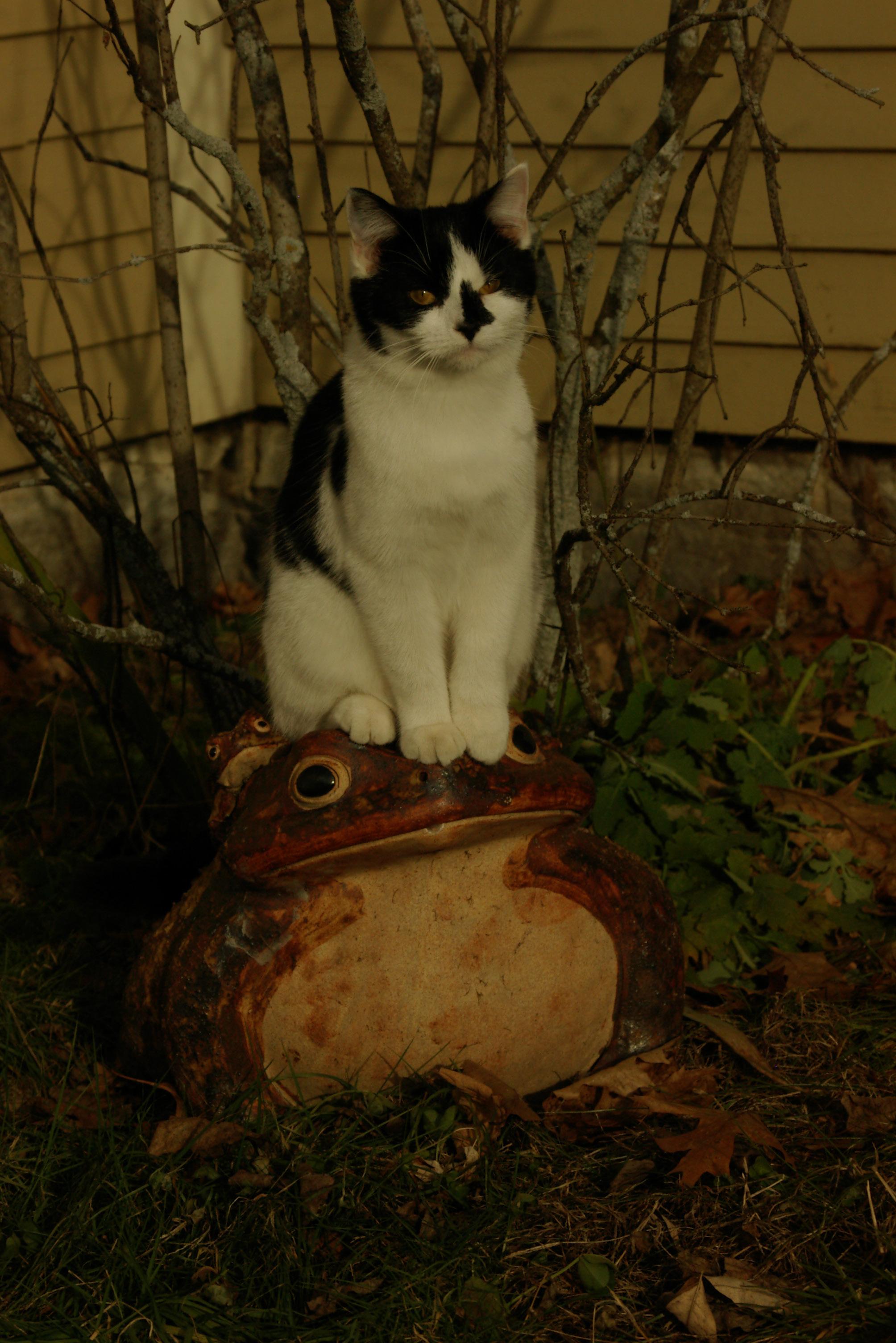 IMGP2898-1.jpg
