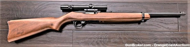 ruger 10-22 (2).jpg