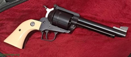 l2_pistols_ruger_super_blackhawk_44_mag_890957.jpg