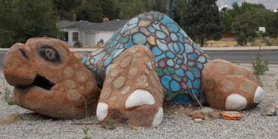 Turtle Roundabout 003.JPG