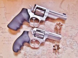 9mm and 10mm Rugers (17).JPG