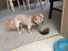 66875791-8F6F-4379-B9C4-C826348028B7.jpeg