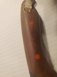 20230322_083448.jpg