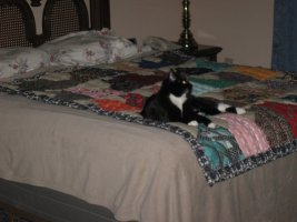 IMG_4316.JPG