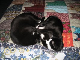 IMG_4321.JPG