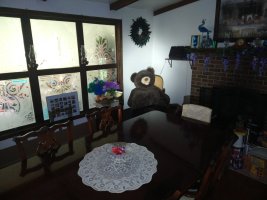 IMG_20230513_124712546.jpg