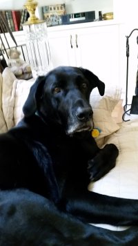 20180114_101151.jpg