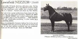 lewisfield nizzor.jpg