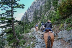 On The Trail5.jpg