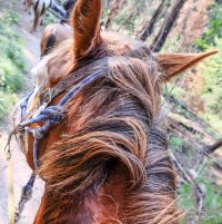 On The Trail9.jpg