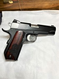 DW 1911.jpg
