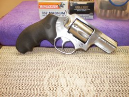 Ruger SP101 357.JPG