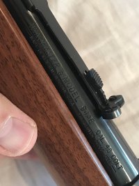 IMG_1098.jpeg IMG_1098.jpeg