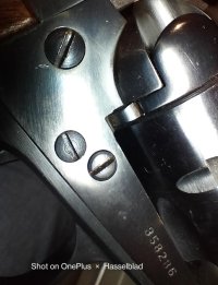 IMG_20230701_210731.jpg