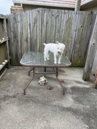 IMG_5831.jpeg