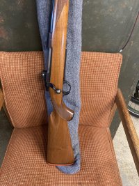 IMG_0732.jpeg
