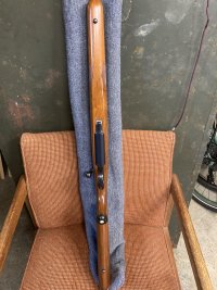 IMG_0733.jpeg