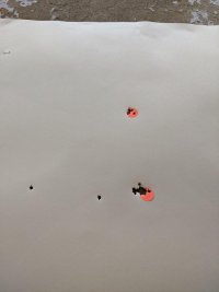 LVT 01.jpg LVT 01.jpg