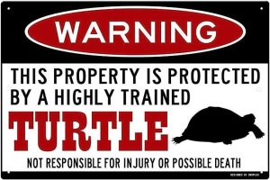 Attack Turtle.jpg