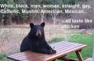 Taste like Chicken.jpg