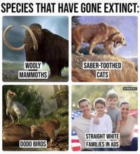 Extinct Species.jpg