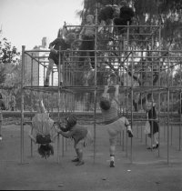 IMG_0960.jpeg