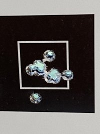 IMG_1065.jpeg