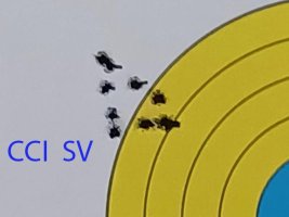 CCI SV.jpegs.jpeg