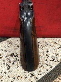IMG_3537.jpeg